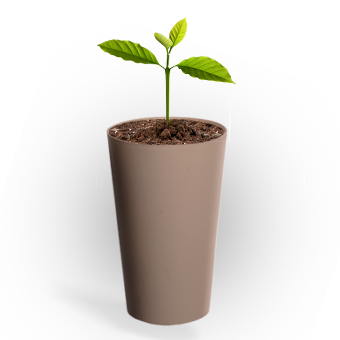 cup30r-plante